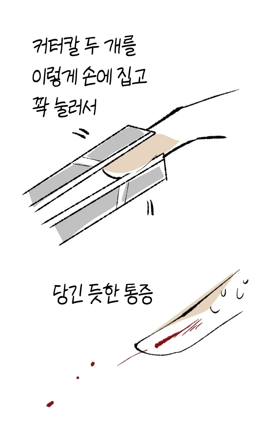 앵무새 : (살려줘) - 이미지 2