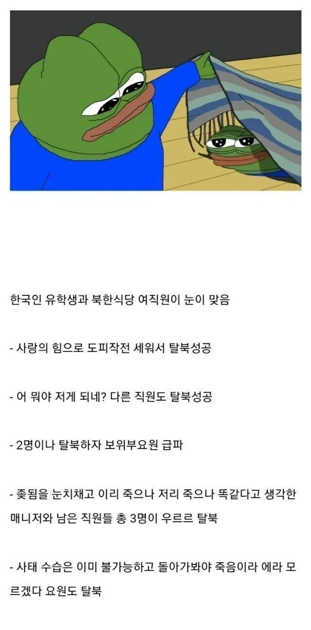 동독 붕괴식 탈북 사례 레전드