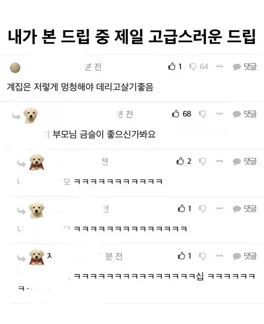 멍청한소리 고급지게 돌리는 방법