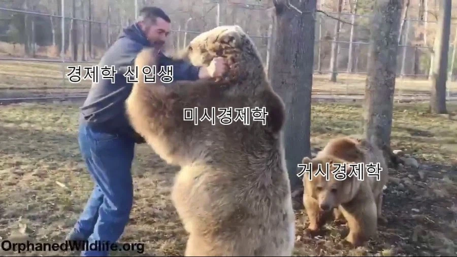 경제학과 신입생별 전공 난이도 - 이미지 2