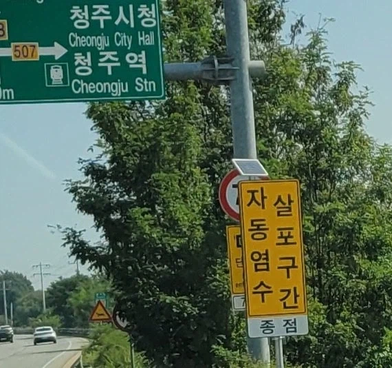 자살동포 염구 수간
