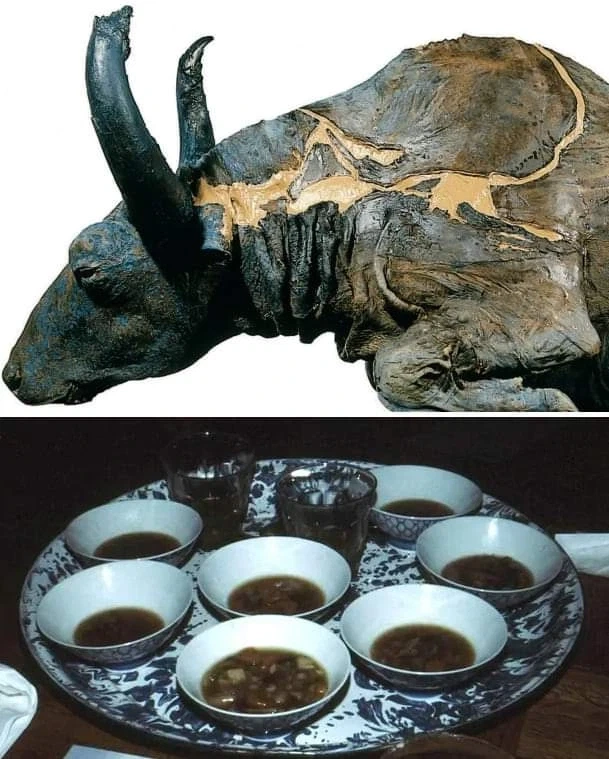 5만년 전 소고기를 요리해먹은 과학자.JPG