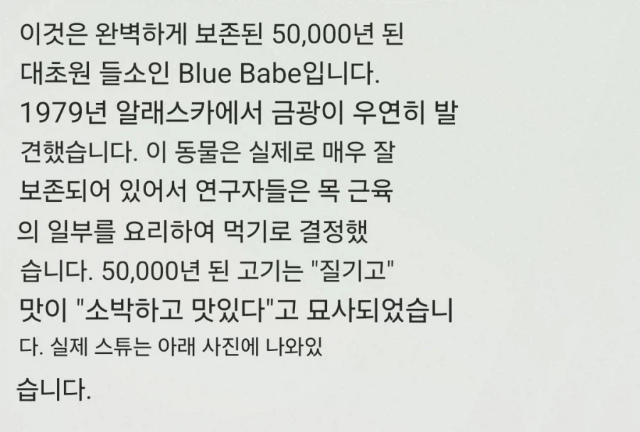 5만년 전 소고기를 요리해먹은 과학자.JPG - 이미지 2