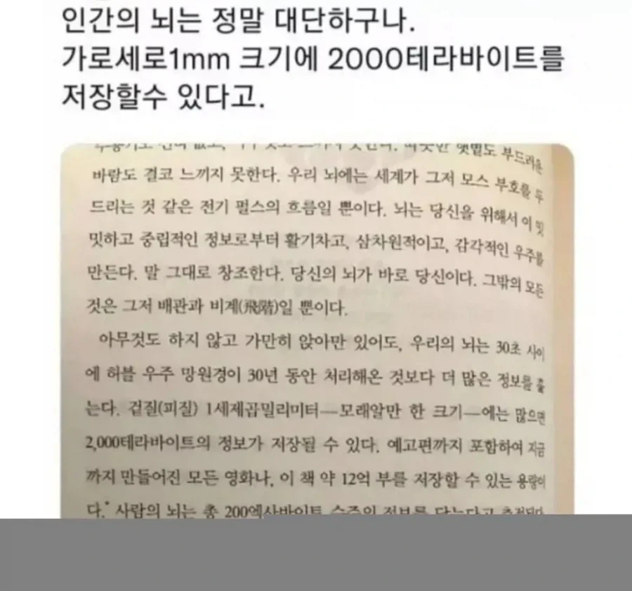 인간 뇌가 1mm당 저장할 수 있는 용량.... ㄷㄷㄷ