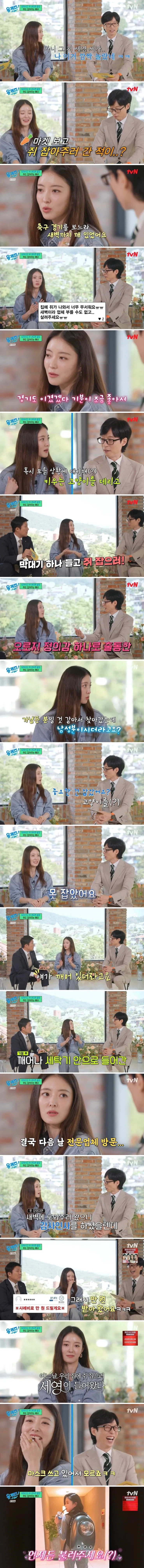 쥐도 잡아주는 배우