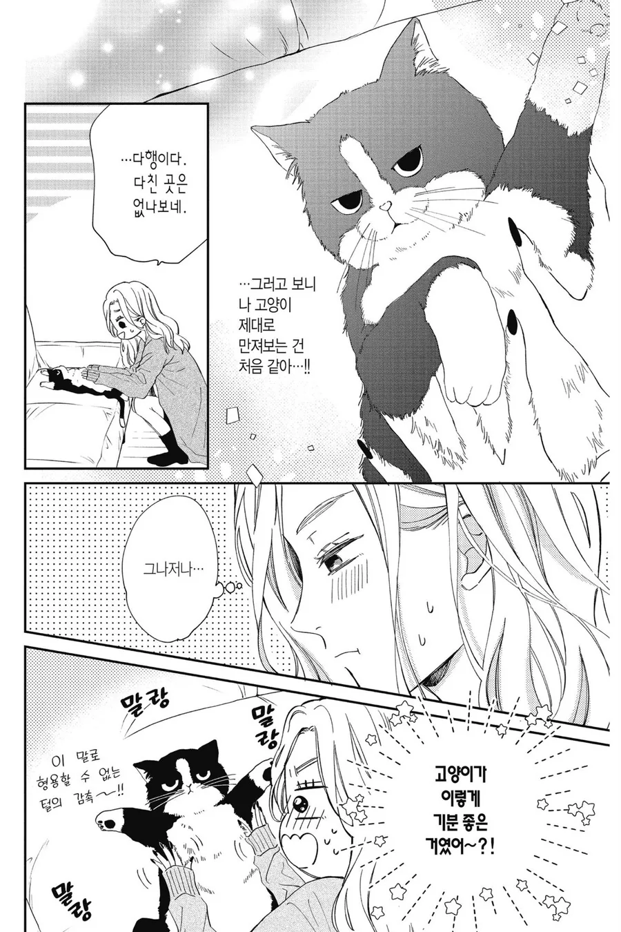 길고양이 줍는 만화 - 이미지 3