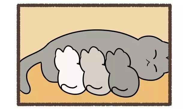 고양이 색깔 정해주는 만화 ^,^ - 이미지 8