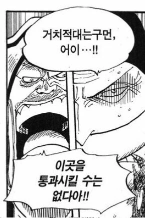 원피스) 사최간 수준의 중장 - 이미지 2
