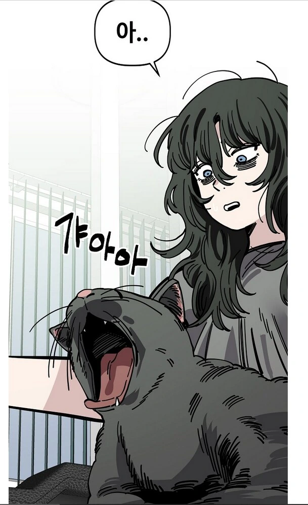 고양이만 나오면 떡상하는 인터넷 방송.manhwa - 이미지 25