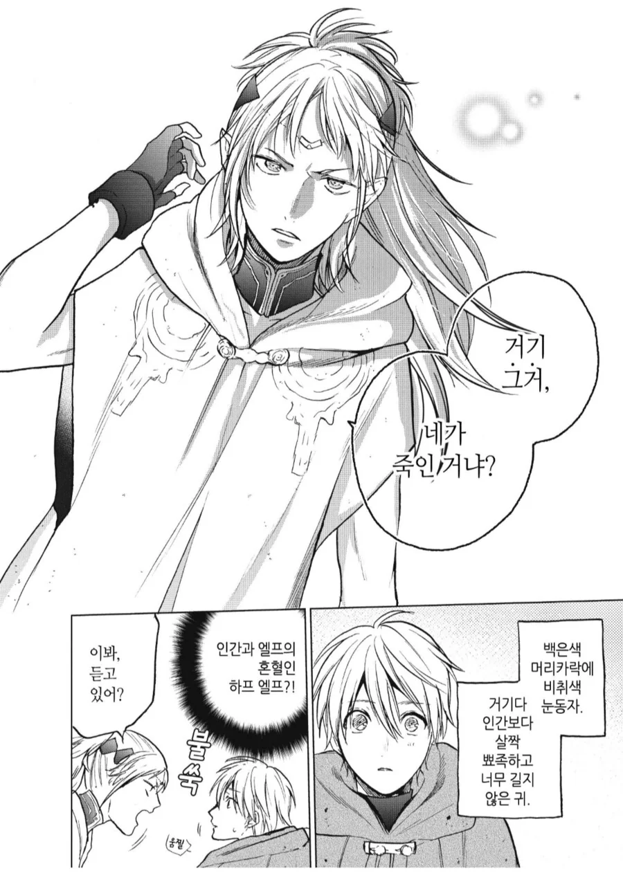 ???: 하프엘프는 ㅇㅅ을 못하니까 아이를 낳을 수 없어. 그런 구조란 말이야