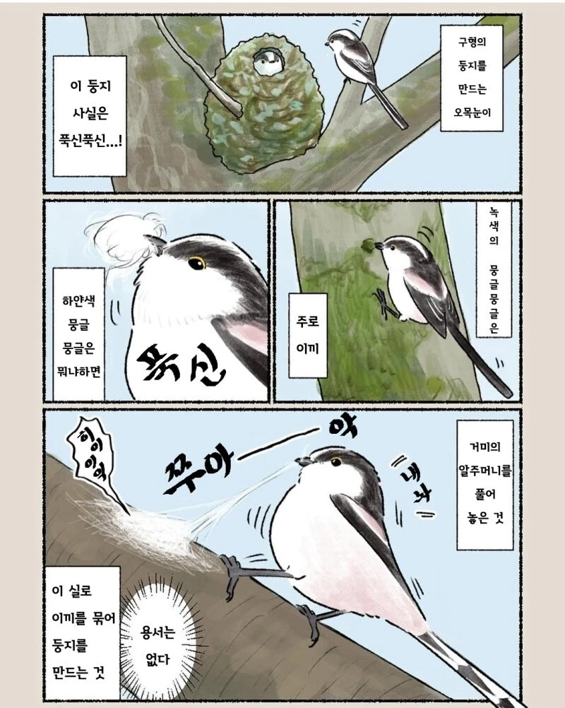 오목눈이 만화 - 이미지 2