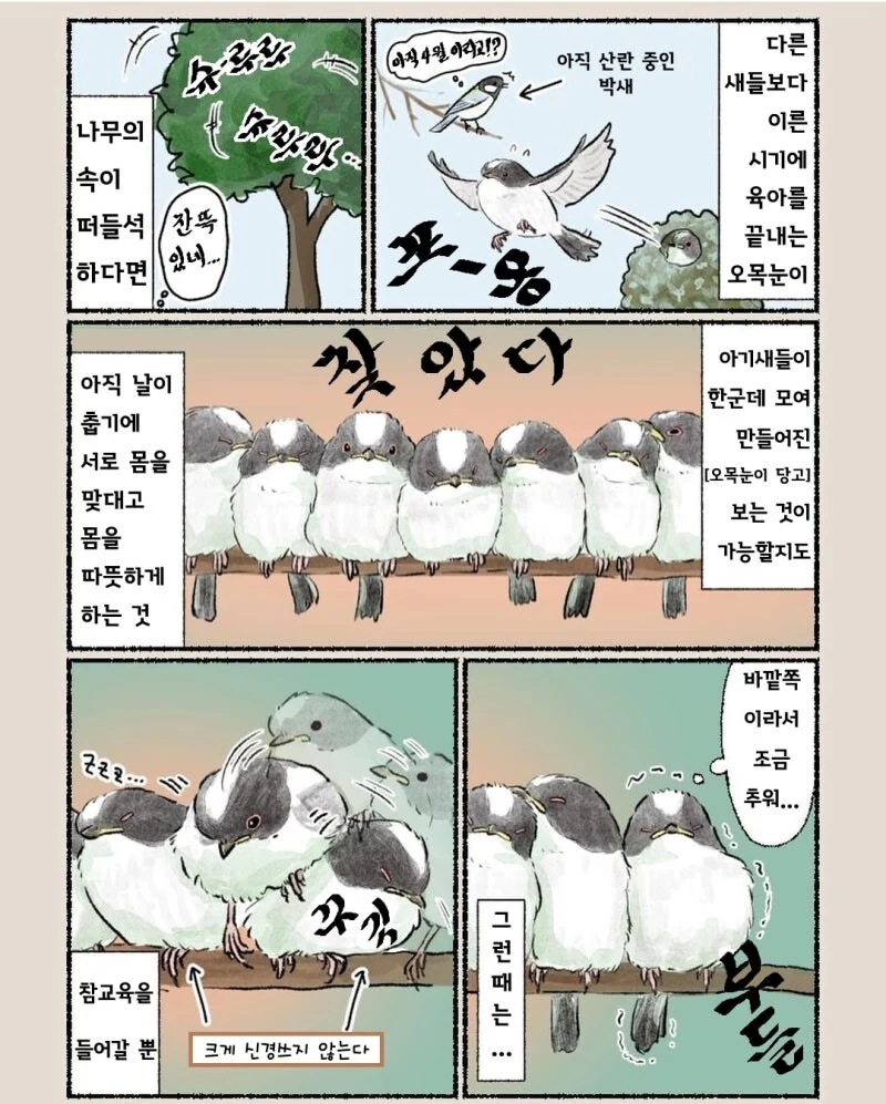 오목눈이 만화 - 이미지 4