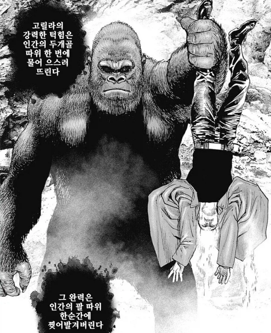 격투만화에서 날고 기어도 안되는 것.jpg - 이미지 2