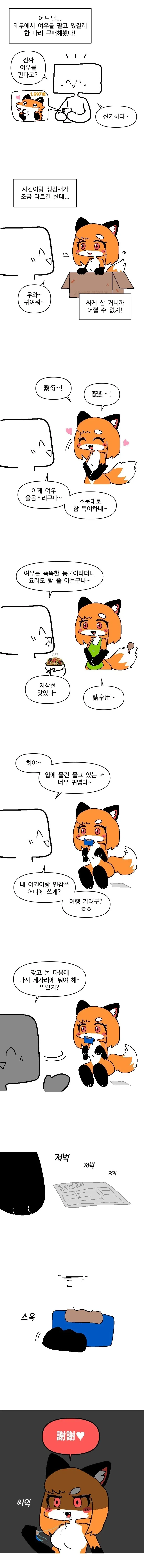테무에서 여우 주문하면 생기는 일.manhwa
