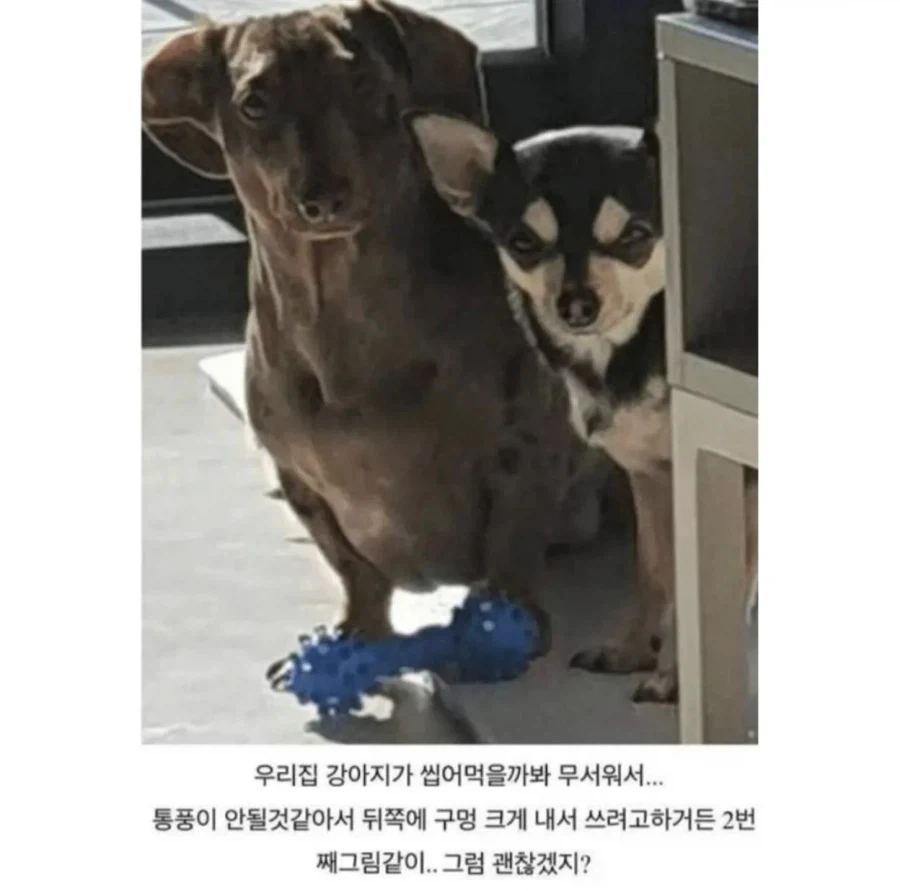 모두가 납득한 게임기를 숨기려는 이유 - 이미지 2