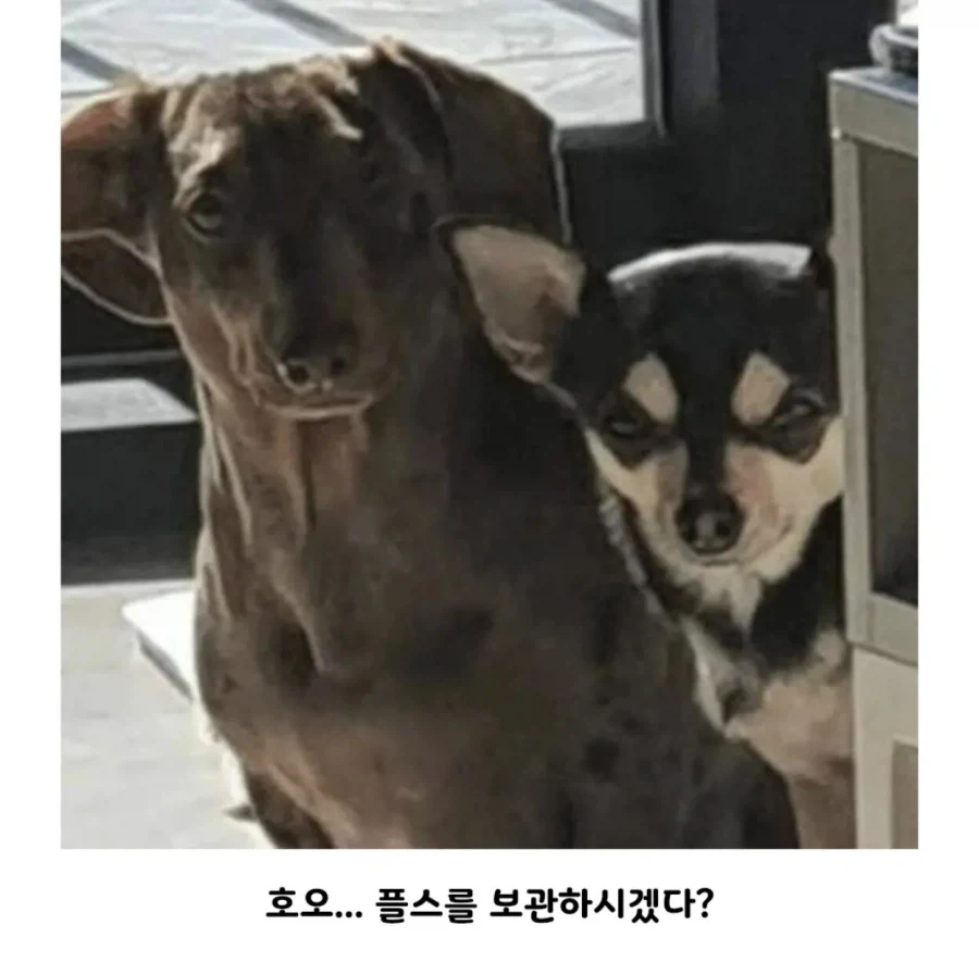 모두가 납득한 게임기를 숨기려는 이유 - 이미지 3