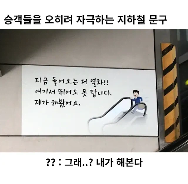 한국인들을 오히려 자극하는 문구 ㅋㅋㅋ