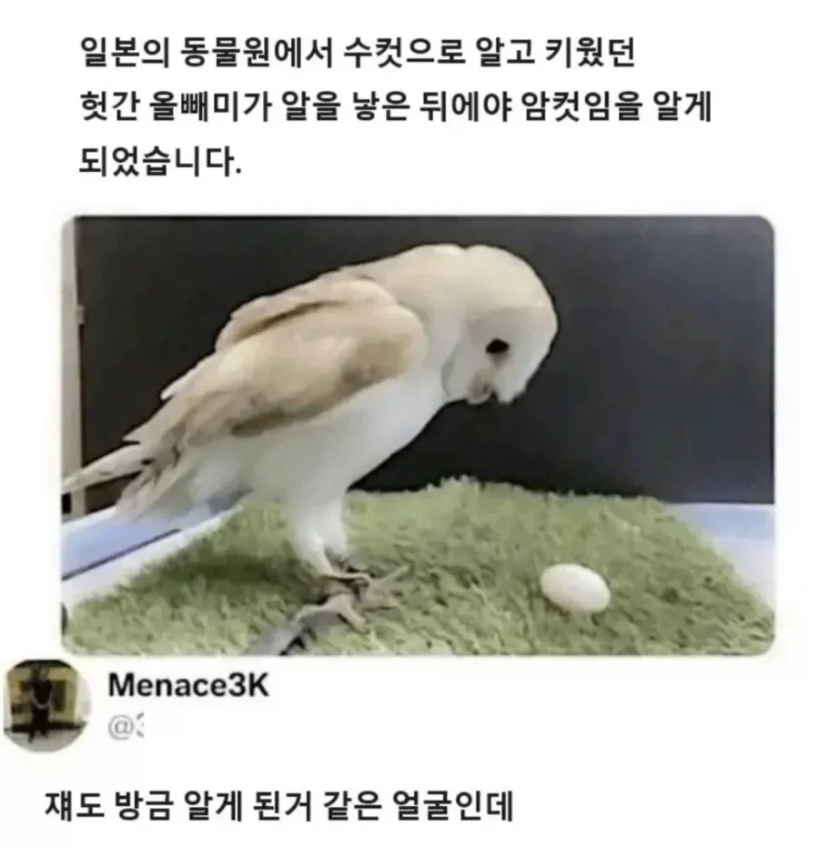 일본의 한 동물원에서.jpg