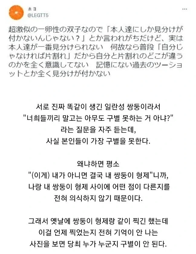 의외로 쌍둥이를 구별 못하는 사람.jpg