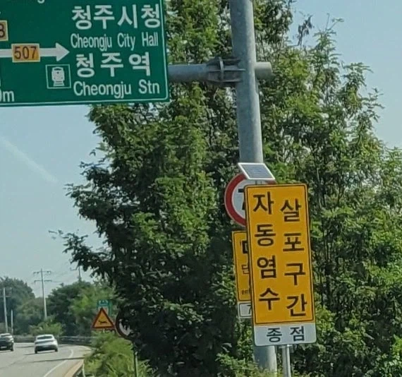 자살 동포 염구 수간.jpg