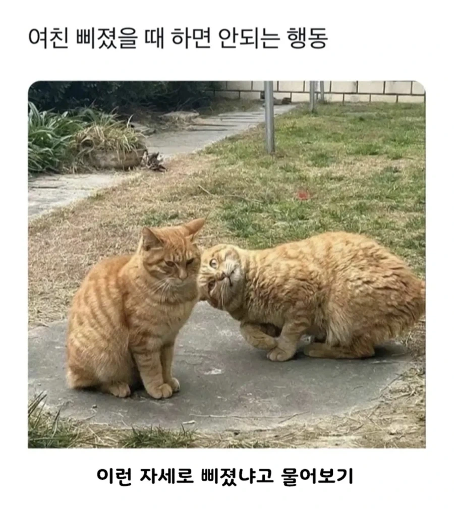 여친이 삐졌을때 하지말아야하는 행동