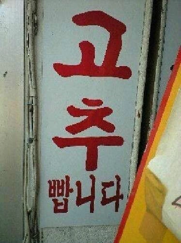 "고추 빱니다" - 이미지 3