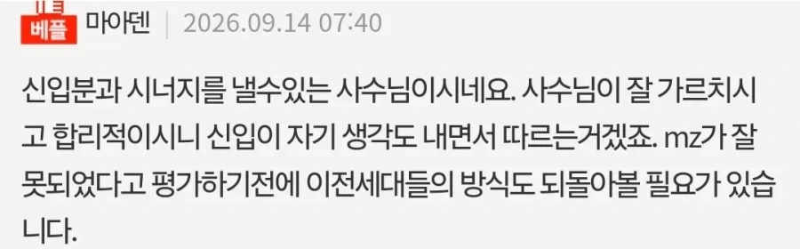 타부서에서 튕겨나온 MZ신입이랑 같이 일한지 9개월차 느낀점 - 이미지 6