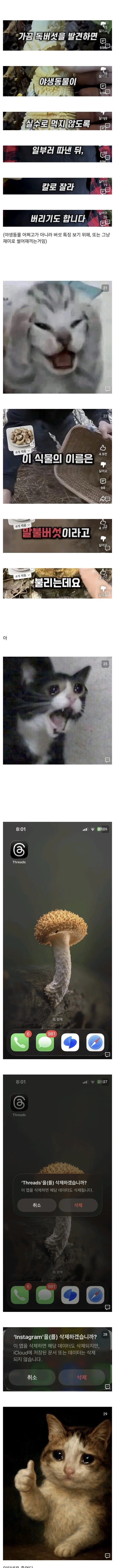 인터넷은 죽었다 - 이미지 2