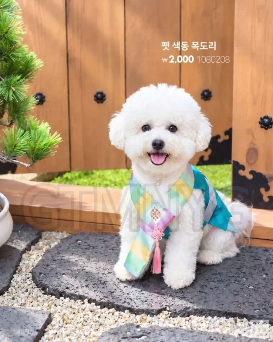 추석을 준비하는 다이소