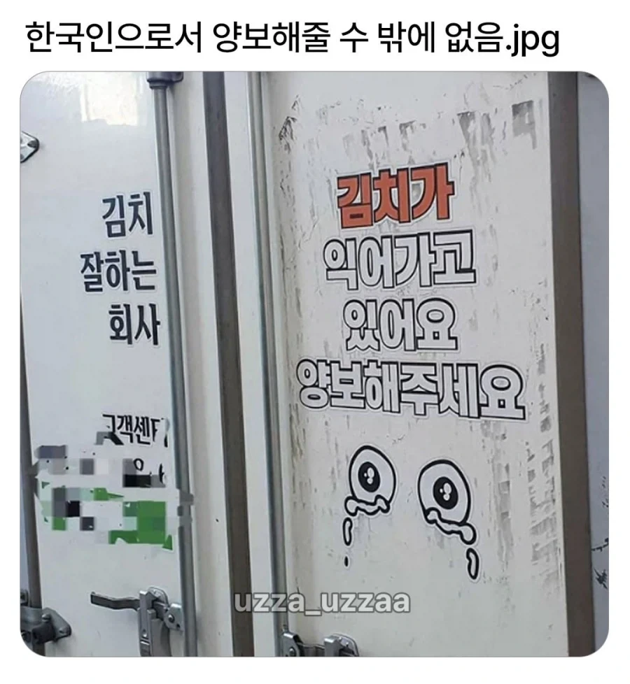 양보를 부르는 차량 문구
