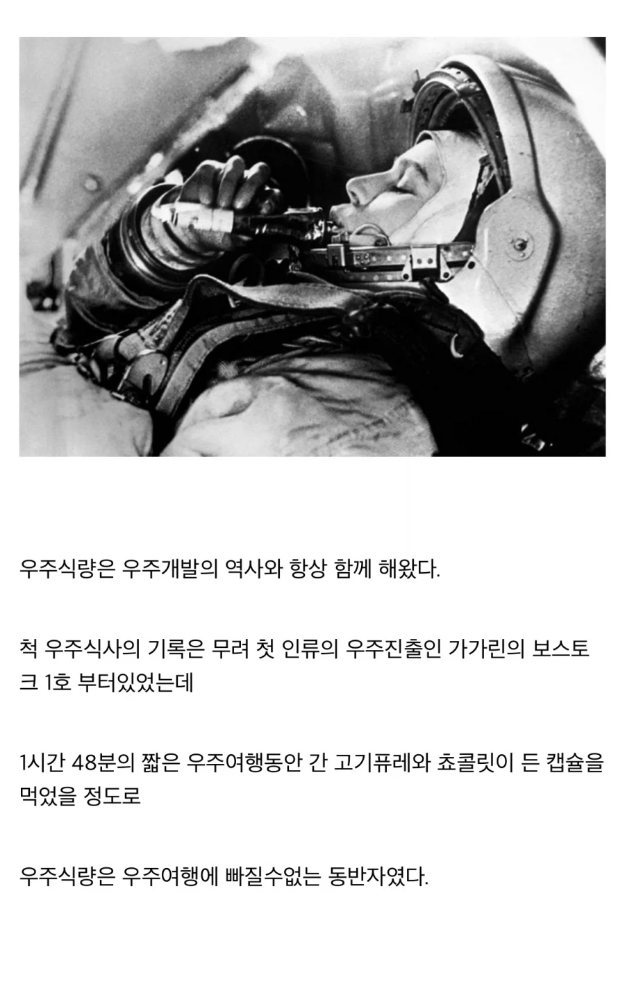 “레데리2에 나오는 스튜를 만들어보자!!” - 이미지 25