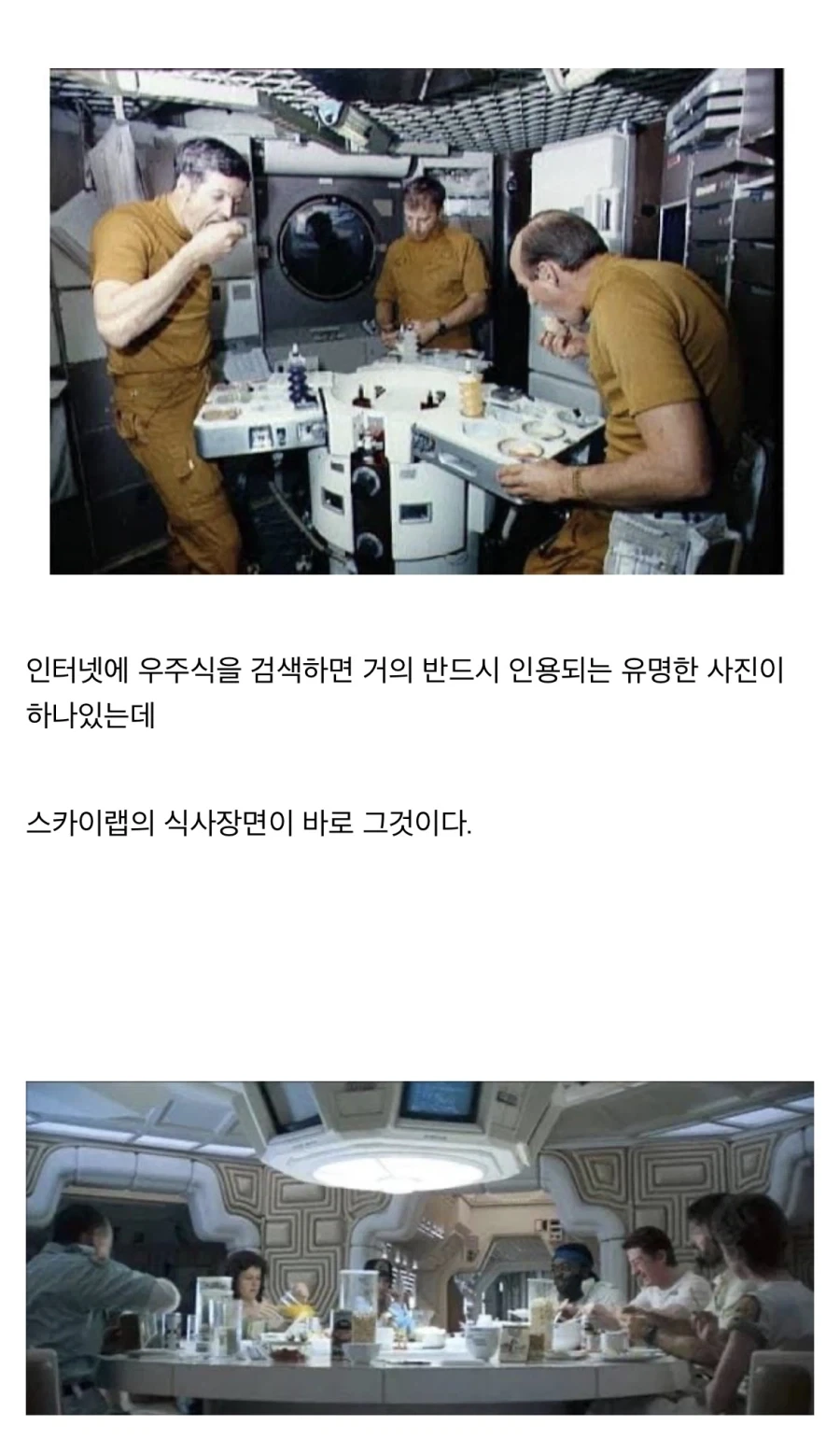 “레데리2에 나오는 스튜를 만들어보자!!” - 이미지 26