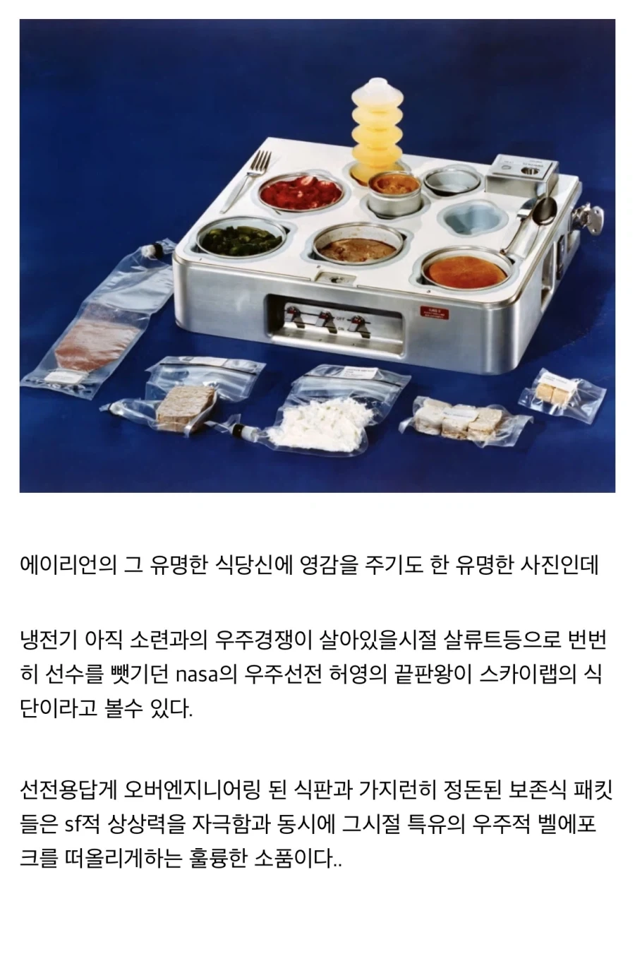“레데리2에 나오는 스튜를 만들어보자!!” - 이미지 27