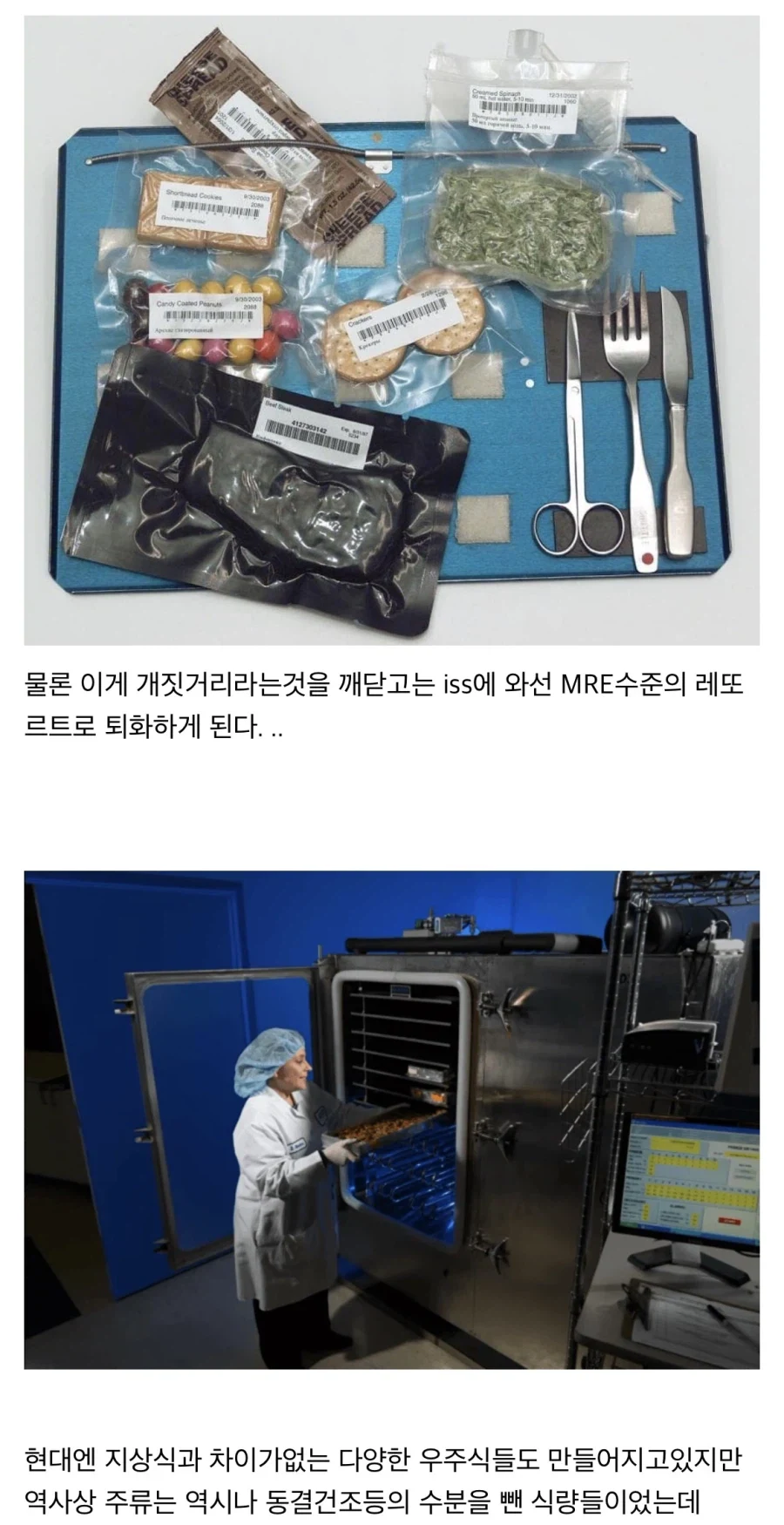 “레데리2에 나오는 스튜를 만들어보자!!” - 이미지 28