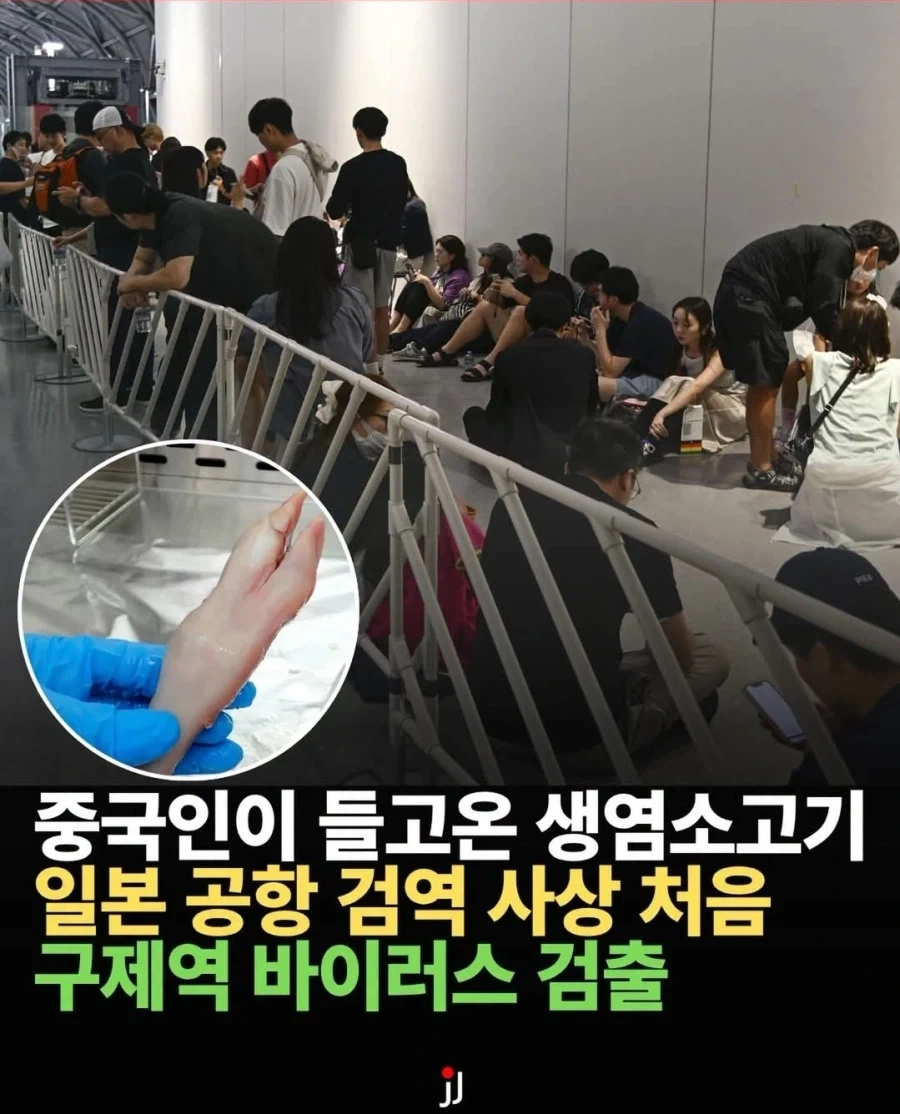 개 민폐의 나라
