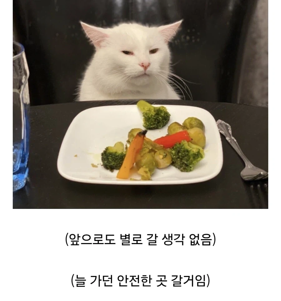 "너가 제대로 하는 집을 못 가봐서 그래~" 특징