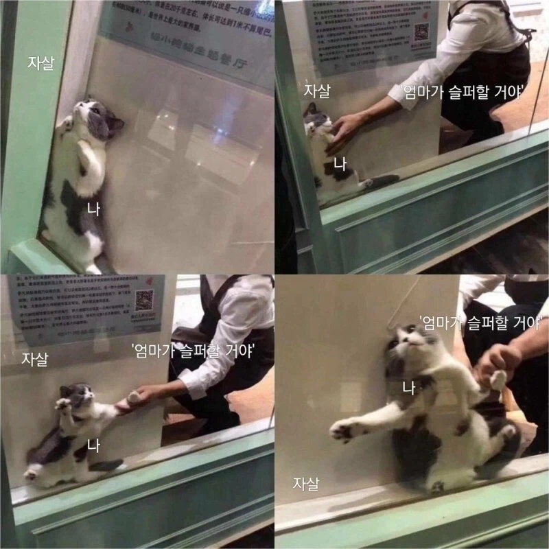 자살이 힘든 이유