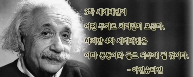 다시 읽어보면 여러가지가 생각하게 하는 4차세계대전 명언