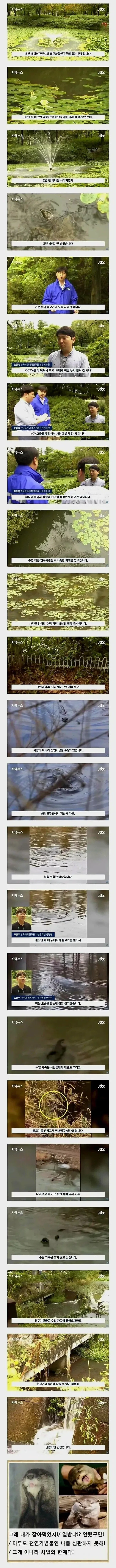 잉어를 5천만원 어치나 훔쳤는데 범인 처벌 불가능함