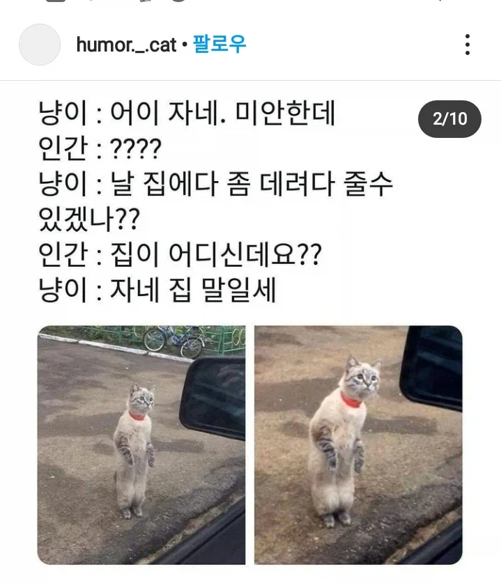 어이 자네 미안한데