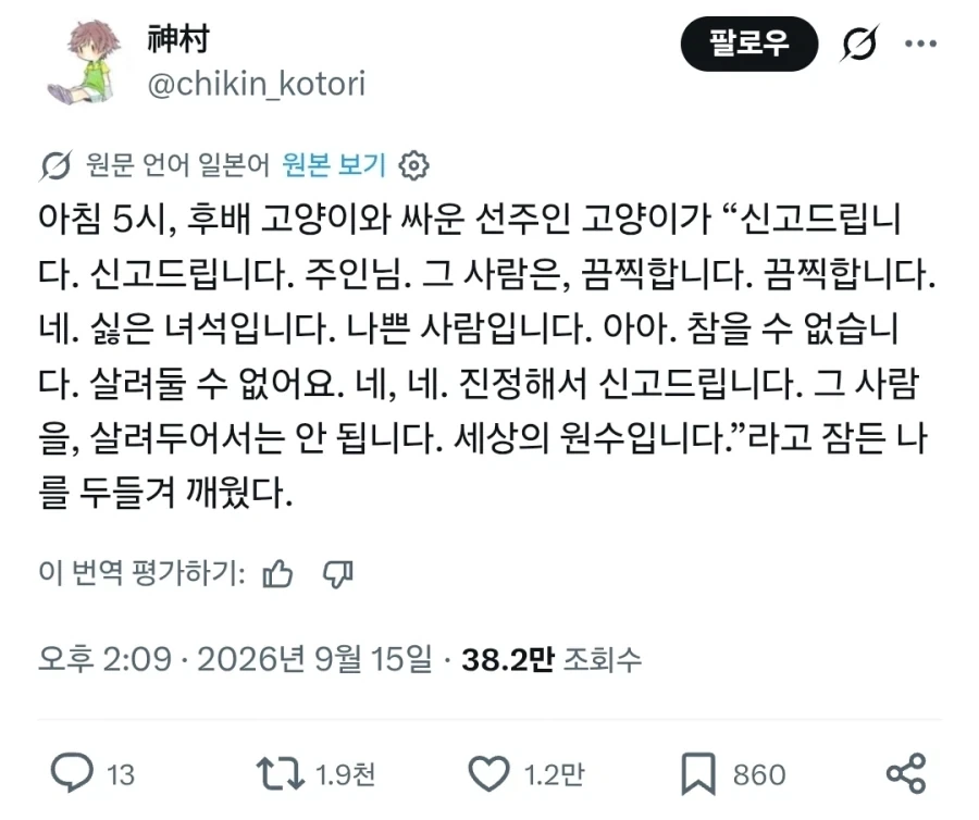 고양이의 직소.jpg