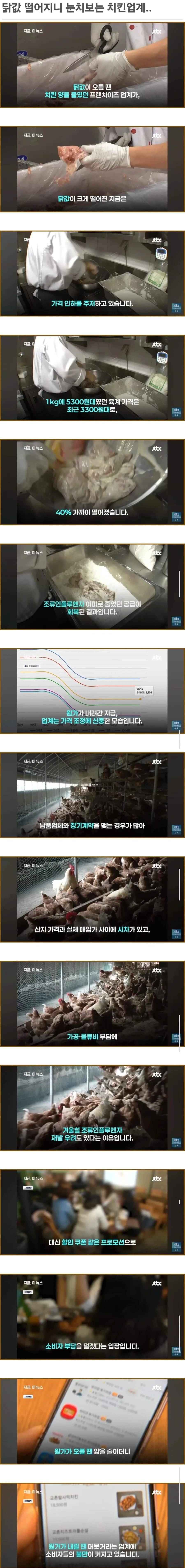 닭값 떨어지니 눈치보는 치킨업계..