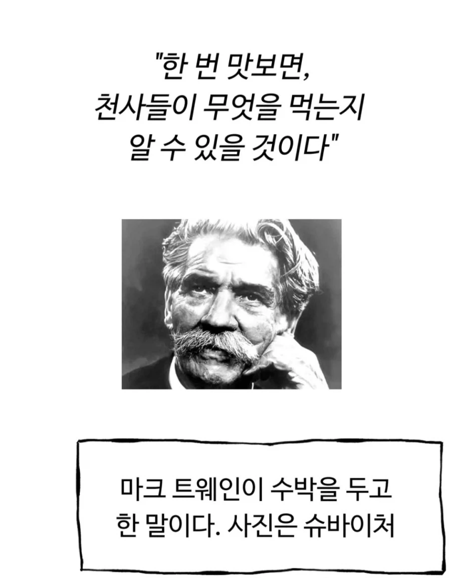 너무나도 위험한 건망고