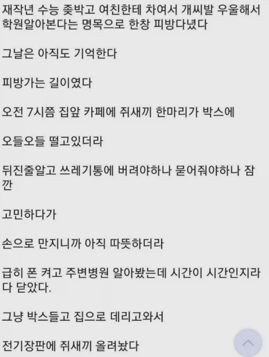 키우던 햄스터를 쥐새끼라 부른 상남자
