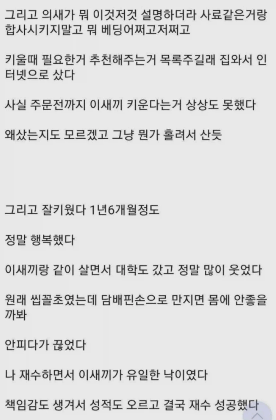 키우던 햄스터를 쥐새끼라 부른 상남자 - 이미지 2