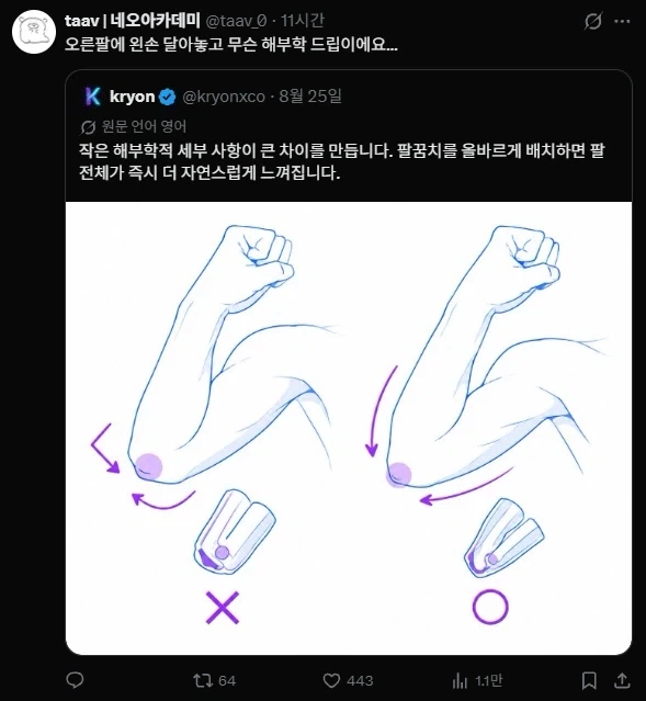 특이점이 온 해부학 튜토리얼.