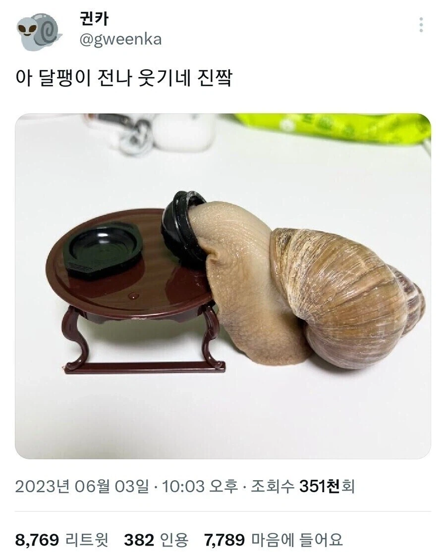 자랑스런 대한민국 국적임을 몸소 증명하는 달팽이.jpg