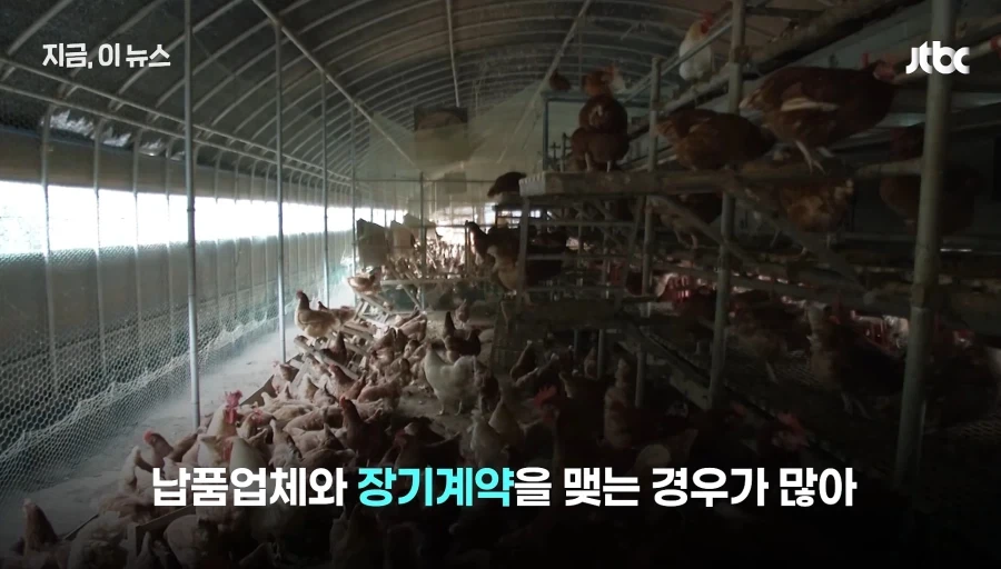 닭값내렸는데 가격인하없는 치킨업계 - 이미지 8