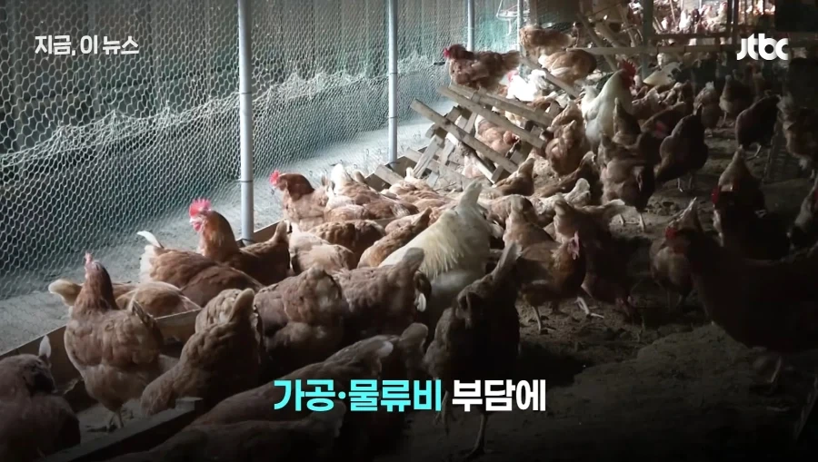 닭값내렸는데 가격인하없는 치킨업계 - 이미지 10