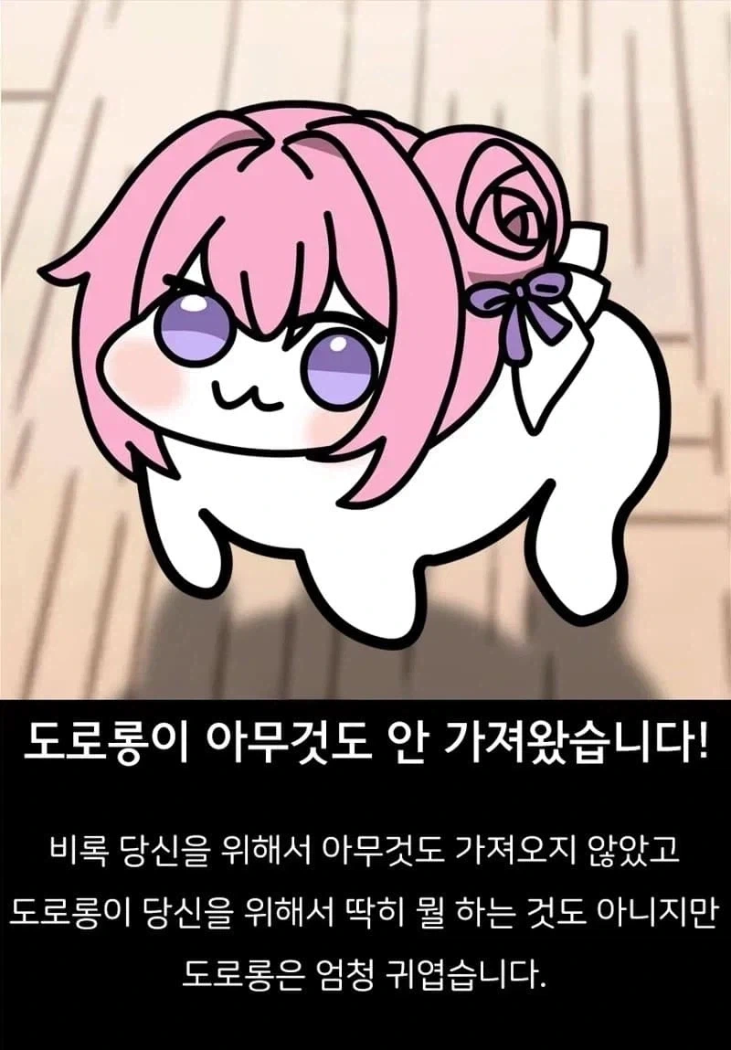 도로롱이 아무것도 안 가져왔습니다!